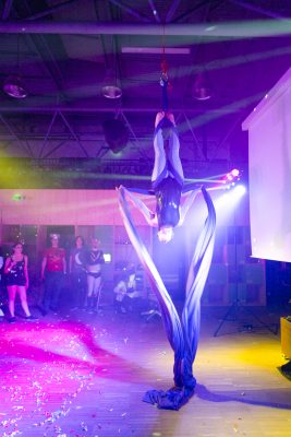 aerial silks